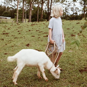Goat milk and the infant gut microbiota: a white paper